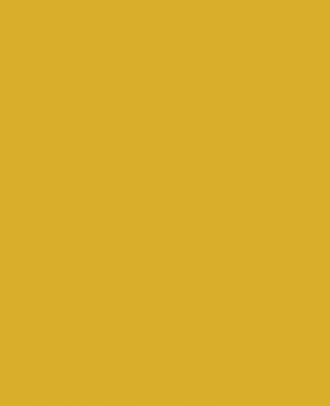 RAL 1032 Broom Yellow Aerosol Spray Paint