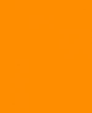 RAL 2007 Luminous Bright Orange Aerosol Spray Paint