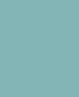 RAL 6034 Pastel Turquoise Aerosol Spray Paint