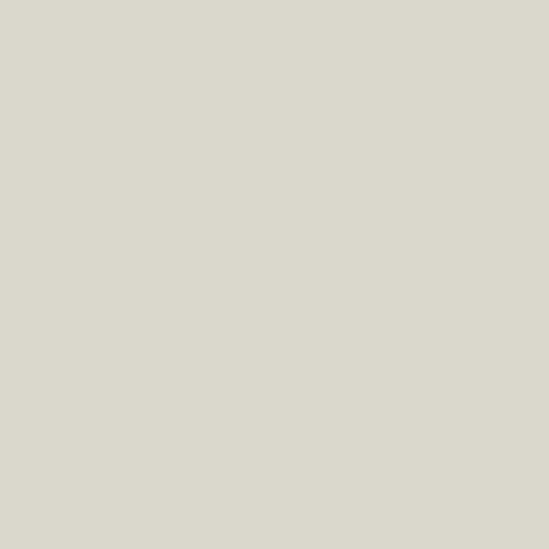 RAL 9002 Grey White Aerosol Spray Paint