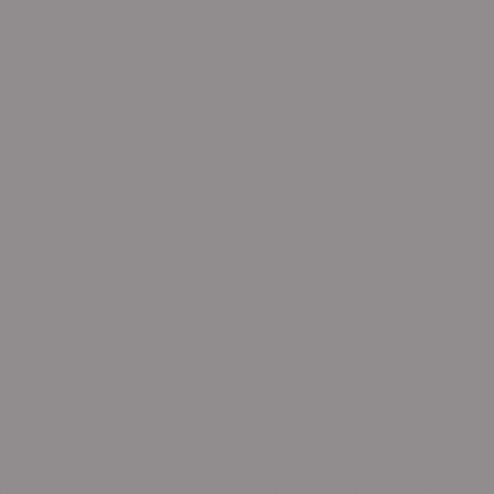 LudwigLacke RAL 9007 Graualuminium 2K-Spraydose 400 Ml – Seidenmatt, Wetterfest, Für Innen & Außen