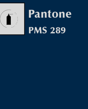 PMS 289