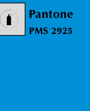 PMS 2925