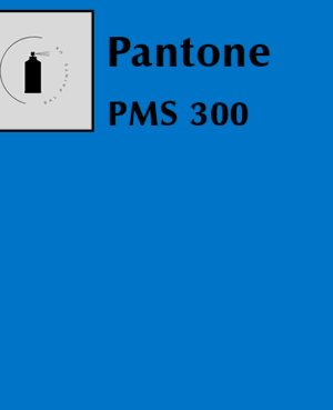 PMS 300