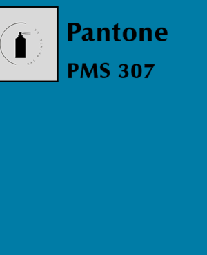 PMS 307