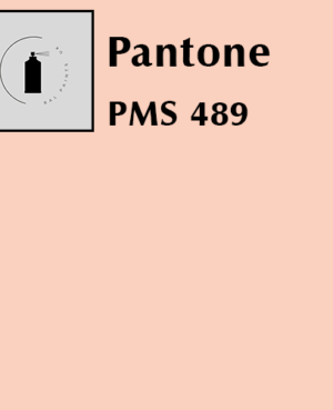 PMS 489