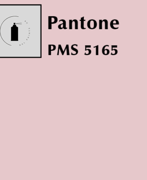 PMS 5165