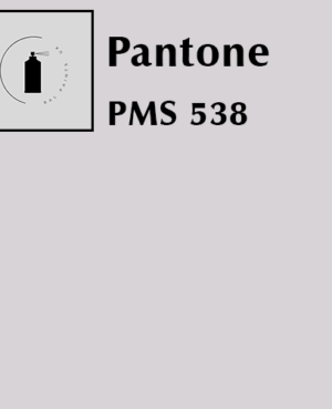 PMS 538