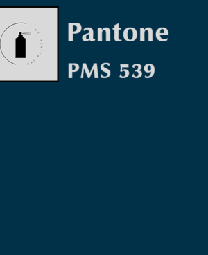 PMS 539