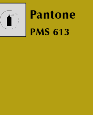 PMS 613
